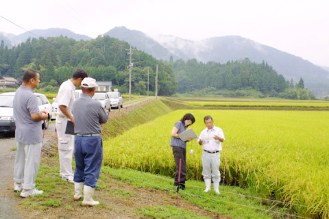 県の特別栽培米の認証時には弊社社員も立会っております