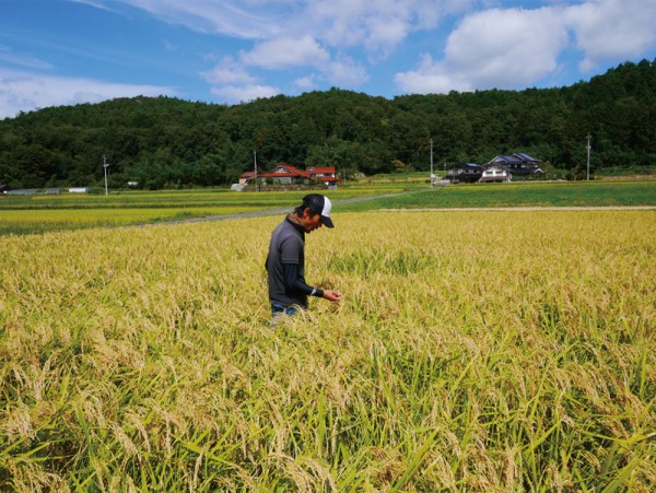10月の米生産者サムネイル