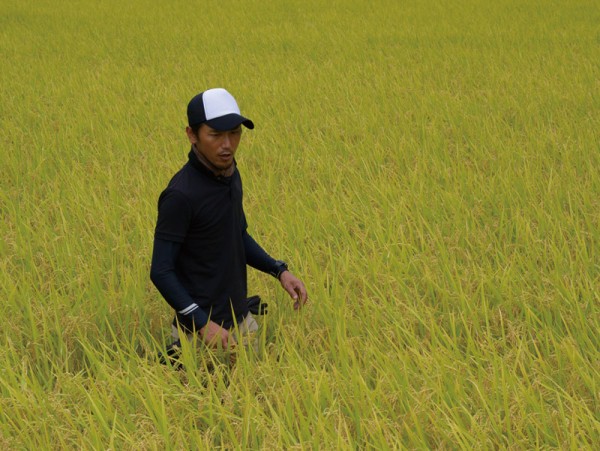 9月の米生産者サムネイル